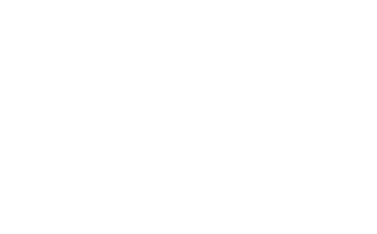 Rapid Charge